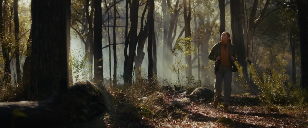 A man walking through a backlit forest, from the PYXIS commercial