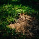Rent Leica Gear: Try Before You Buy – Smart Testing Tactics