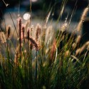 The Leica M240 – Why I Went Leica