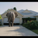 The Wandering DP Podcast: Episode #75 – VFX Cinematography Part #2