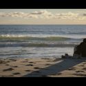 The Wandering DP Podcast: Episode #245 – Remote Production