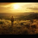 The Wandering DP Podcast: Episode #439 – The Rambling Man #2